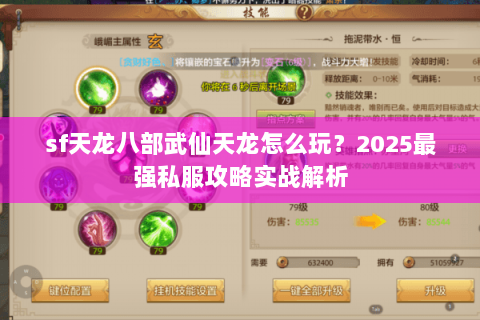sf天龙八部武仙天龙怎么玩？2025最强私服攻略实战解析
