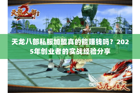天龙八部私服加盟真的能赚钱吗？2025年创业者的实战经验分享