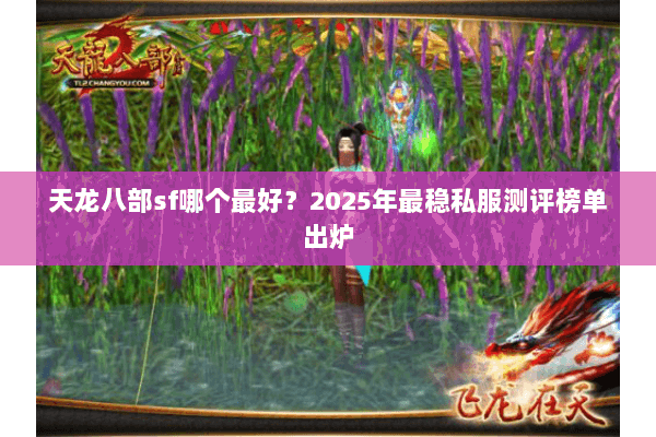 天龙八部sf哪个最好？2025年最稳私服测评榜单出炉