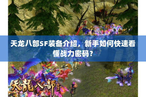天龙八部SF装备介绍，新手如何快速看懂战力密码？
