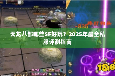 天龙八部哪些SF好玩？2025年最全私服评测指南