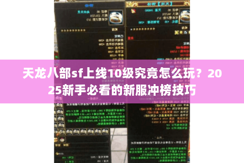 天龙八部sf上线10级究竟怎么玩？2025新手必看的新服冲榜技巧