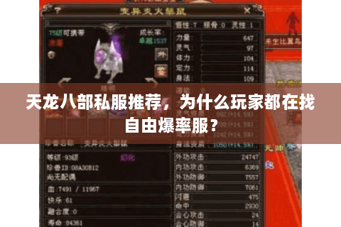 天龙八部私服推荐，为什么玩家都在找自由爆率服？