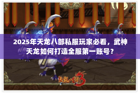 2025年天龙八部私服玩家必看，武神天龙如何打造全服第一账号？