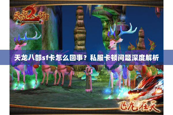 天龙八部sf卡怎么回事？私服卡顿问题深度解析
