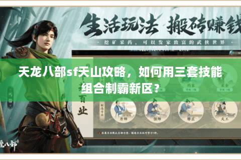 天龙八部sf天山攻略，如何用三套技能组合制霸新区？