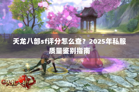 天龙八部sf评分怎么查？2025年私服质量鉴别指南