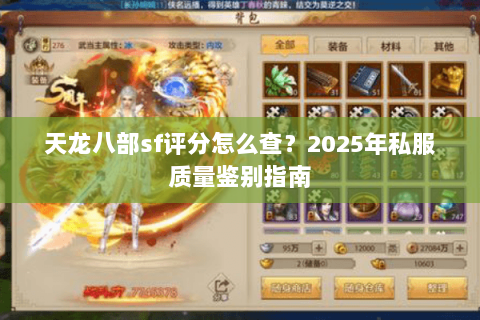 天龙八部sf评分怎么查？2025年私服质量鉴别指南