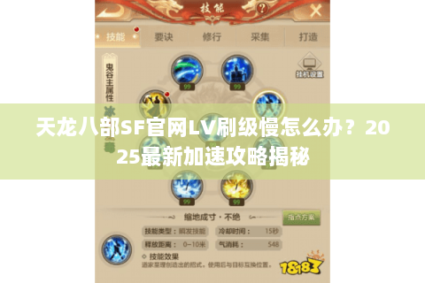 天龙八部SF官网LV刷级慢怎么办？2025最新加速攻略揭秘