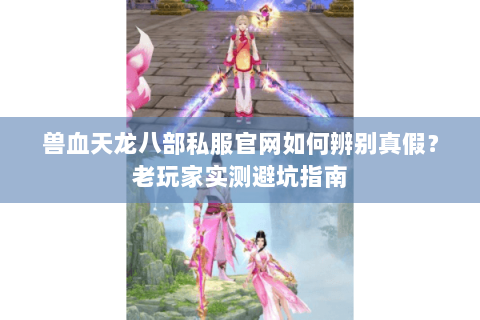 兽血天龙八部私服官网如何辨别真假？老玩家实测避坑指南