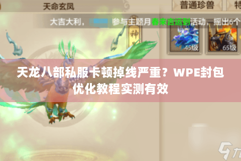天龙八部私服卡顿掉线严重？WPE封包优化教程实测有效