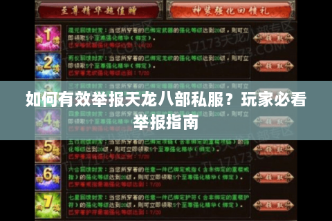 如何有效举报天龙八部私服？玩家必看举报指南