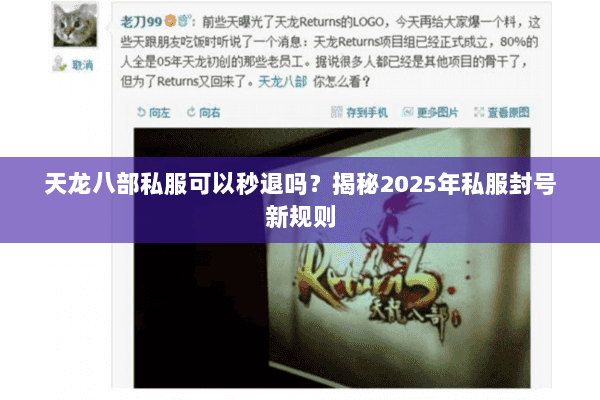 天龙八部私服可以秒退吗？揭秘2025年私服封号新规则