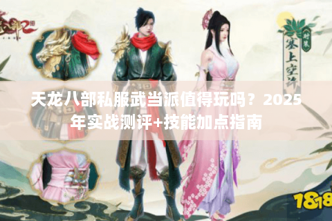 天龙八部私服武当派值得玩吗？2025年实战测评+技能加点指南
