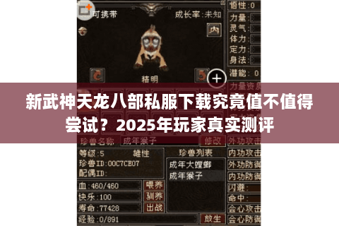 新武神天龙八部私服下载究竟值不值得尝试？2025年玩家真实测评
