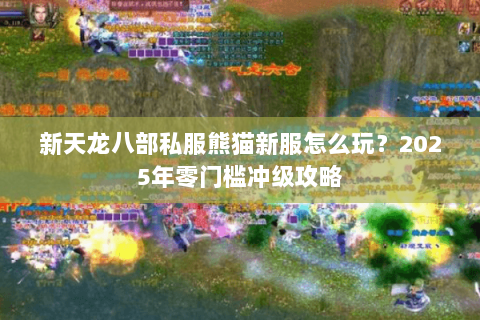 新天龙八部私服熊猫新服怎么玩？2025年零门槛冲级攻略
