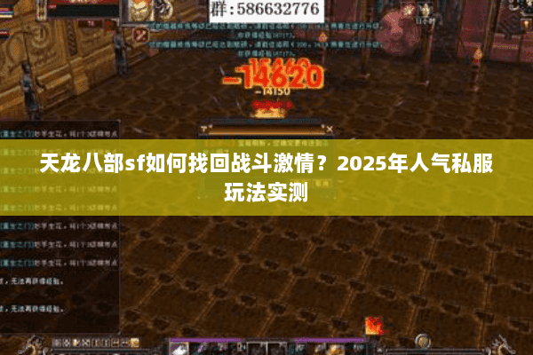 天龙八部sf如何找回战斗激情？2025年人气私服玩法实测