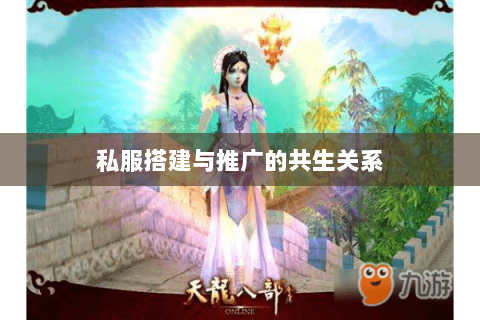 私服搭建与推广的共生关系