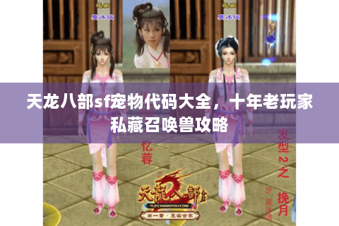 天龙八部sf宠物代码大全，十年老玩家私藏召唤兽攻略