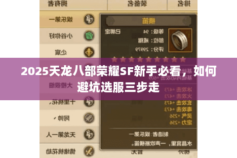 2025天龙八部荣耀SF新手必看，如何避坑选服三步走