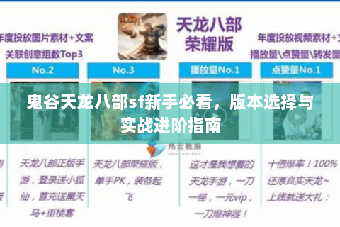 鬼谷天龙八部sf新手必看，版本选择与实战进阶指南