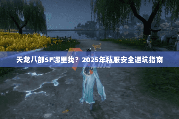 天龙八部SF哪里找？2025年私服安全避坑指南