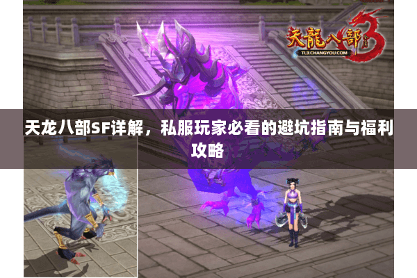 天龙八部SF详解，私服玩家必看的避坑指南与福利攻略