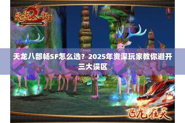天龙八部畅SF怎么选？2025年资深玩家教你避开三大误区