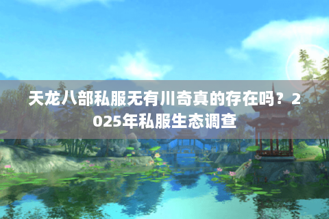 天龙八部私服无有川奇真的存在吗？2025年私服生态调查