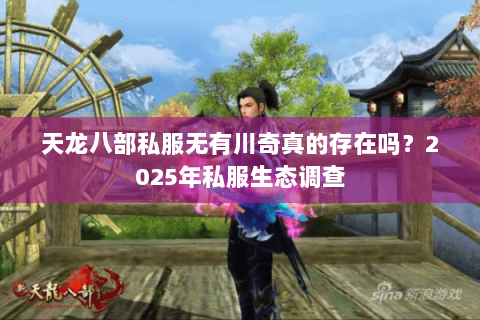 天龙八部私服无有川奇真的存在吗？2025年私服生态调查