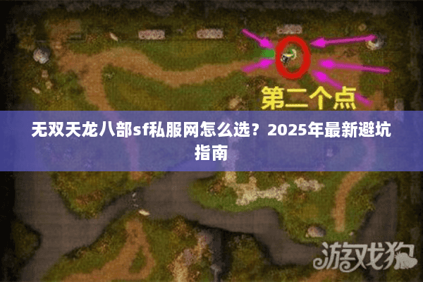 无双天龙八部sf私服网怎么选？2025年最新避坑指南