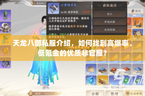 天龙八部私服介绍，如何找到高爆率、低氪金的优质非官服？