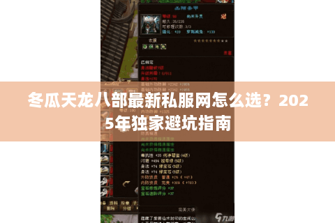 冬瓜天龙八部最新私服网怎么选？2025年独家避坑指南
