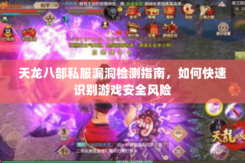 天龙八部私服漏洞检测指南，如何快速识别游戏安全风险