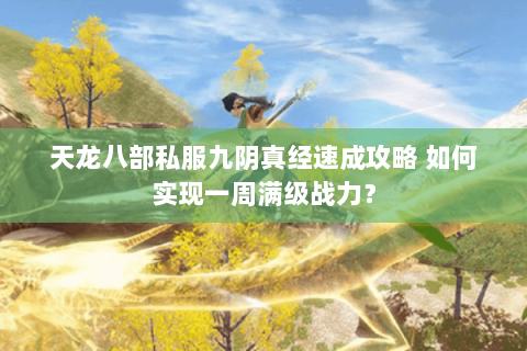 天龙八部私服九阴真经速成攻略 如何实现一周满级战力？