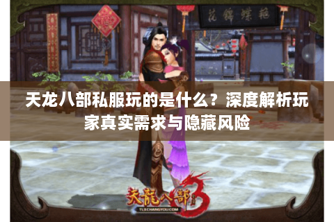 天龙八部私服玩的是什么？深度解析玩家真实需求与隐藏风险