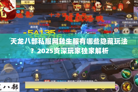天龙八部私服网转生服有哪些隐藏玩法？2025资深玩家独家解析