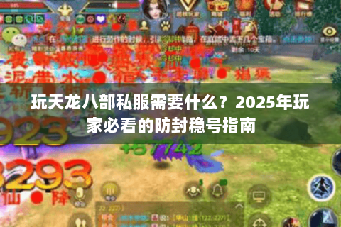 玩天龙八部私服需要什么？2025年玩家必看的防封稳号指南