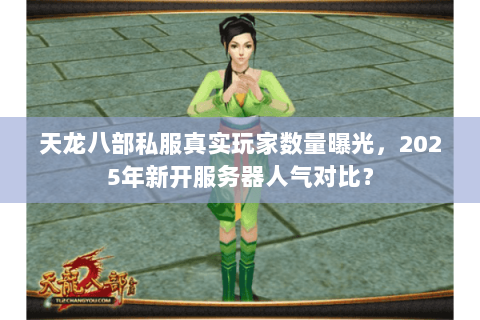 天龙八部私服真实玩家数量曝光，2025年新开服务器人气对比？