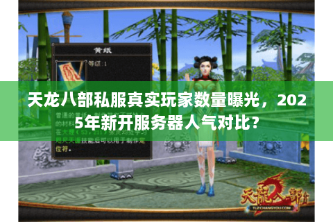 天龙八部私服真实玩家数量曝光，2025年新开服务器人气对比？