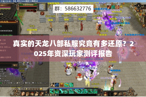 真实的天龙八部私服究竟有多还原？2025年资深玩家测评报告