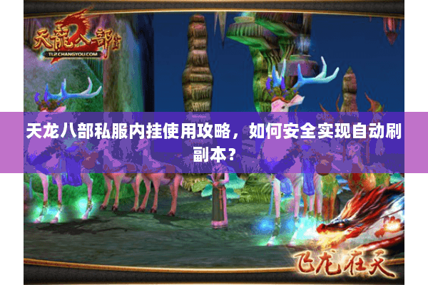 天龙八部私服内挂使用攻略，如何安全实现自动刷副本？