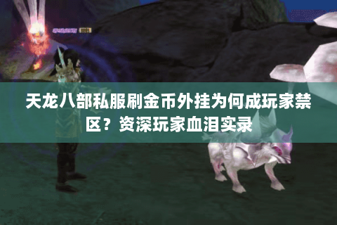 天龙八部私服刷金币外挂为何成玩家禁区？资深玩家血泪实录