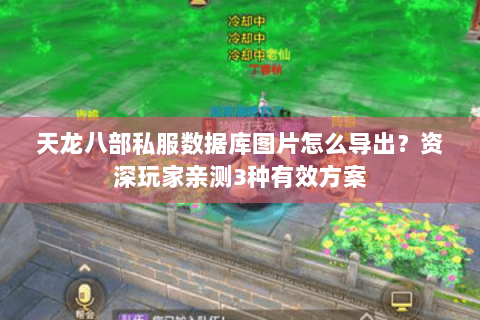 天龙八部私服数据库图片怎么导出？资深玩家亲测3种有效方案