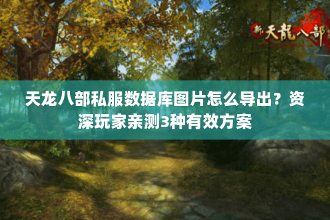 天龙八部私服数据库图片怎么导出？资深玩家亲测3种有效方案