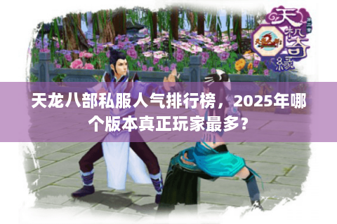 天龙八部私服人气排行榜，2025年哪个版本真正玩家最多？