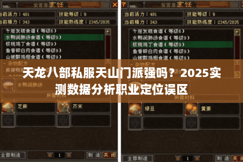 天龙八部私服天山门派强吗？2025实测数据分析职业定位误区