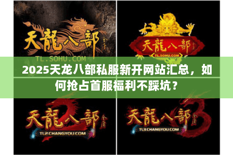 2025天龙八部私服新开网站汇总，如何抢占首服福利不踩坑？