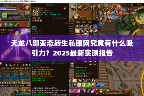 天龙八部变态转生私服网究竟有什么吸引力？2025最新实测报告