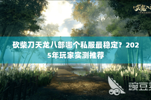 砍柴刀天龙八部哪个私服最稳定？2025年玩家实测推荐